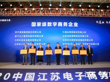 江苏企业转型升级新引擎，商务技术咨询资质助力突破