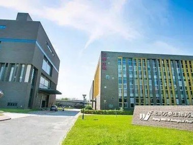 昌平区企业优质技术咨询机构选择指南