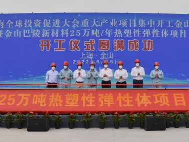 企业腾飞的秘密武器，区技术咨询优势深度解析