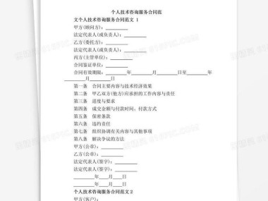 个人技术咨询公司注册攻略，流程详解、关键要点与实战案例分析
