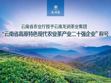 云南木本粮油技术咨询，绿色农业发展引擎，助力乡村振兴战略实施