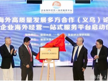 海外技术咨询质量服务，增强企业国际竞争力的关键支柱
